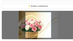 Обрезка изображений с выбором точного размера в пикселях, миллиметрах (сантиметрах) и разрешения dpi