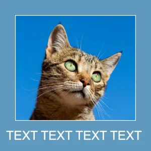 Создатель демотиваторов