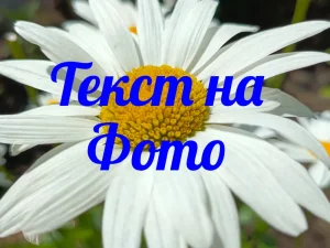 Текст на фото