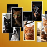 Конструктор коллажа A3 с произвольным расположением фотографий в любом количестве