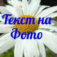 Текст на фото