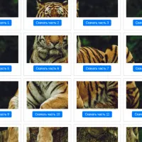Фото сплиттер - разрезка фото на части