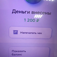  Пошагово с фото. Как пополнить карту Ozon через банкомат Сбер