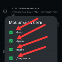  Как запретить автоматическое скачивание файлов в Whatsapp