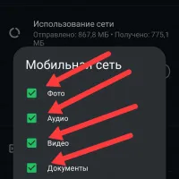  Как запретить автоматическое скачивание файлов в Whatsapp