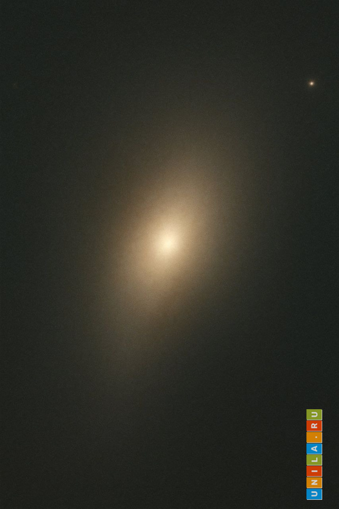 Увеличенное, обработанное