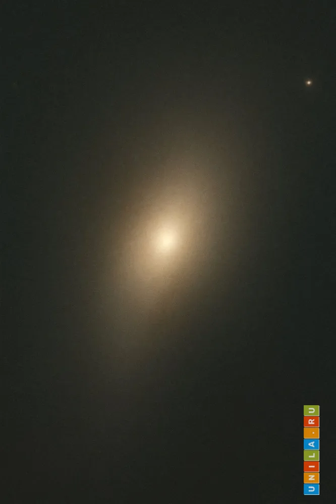 Увеличенное, обработанное